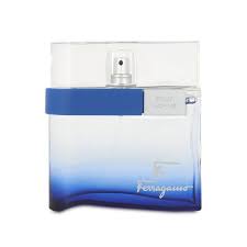 SALVATORE FERRAGAMO Free Time 100 Ml edts (H)